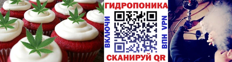 Canna-Cookies конопля  Ивангород 