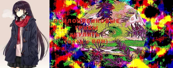 первитин Володарск